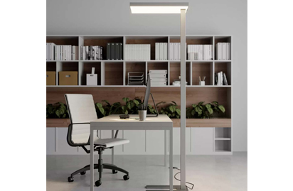 光遗传学研究对皮质振荡的见解