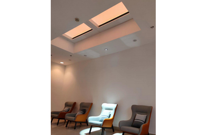 40Hz光闪烁刺激对AD影响研究-总结