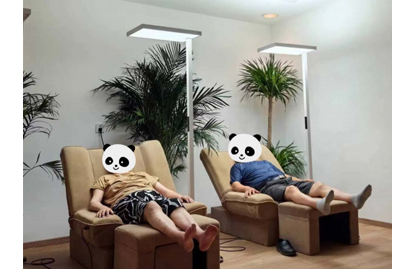 诱导特定脑震荡可恢复神经回路并用于治疗阿尔茨海默病